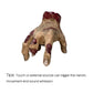 🖐️ NU 50% KORTING! ✨ Realistische enge handprops - flexibel en griezelig voor Halloween/cosplay, perfect voor decoratie of grappen 🎃📦