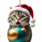 🎄10 stuks😻Kerstboomversiering kat✨Hangende kattenversieringen