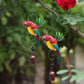 Zomeruitverkoop nieuwe producten 49% korting🔥Parrot Wind Chime Hanging Decor