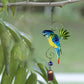 Zomeruitverkoop nieuwe producten 49% korting🔥Parrot Wind Chime Hanging Decor