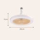 2-in-1 stille verstelbare ventilatorlamp met afstandsbediening voor de slaapkamer （Gratis verzending）