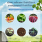 Gemaakt van milieuvriendelijke materialen🍃Universele tabletmeststof met langzame afgifte voor planten